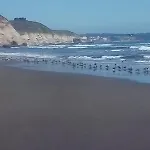 Acogedora Y Comoda Cabana Frente Al Mar
