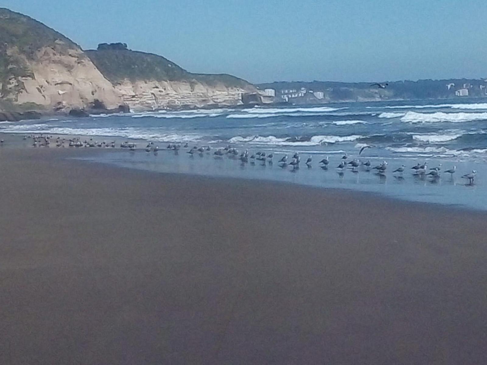 Acogedora Y Comoda Cabana Frente Al Mar Apartamento